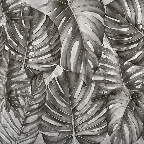 VLADILA Grey Philodendron - tapeta