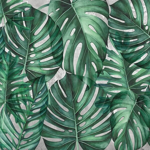 VLADILA Green Philodendron - tapeta