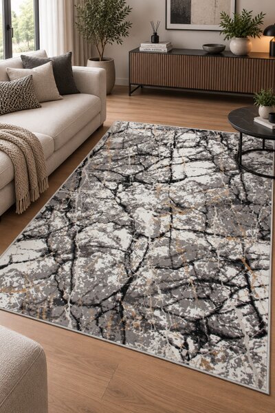 Koberec Tender 25226A VELVET čierny / svetlosivý