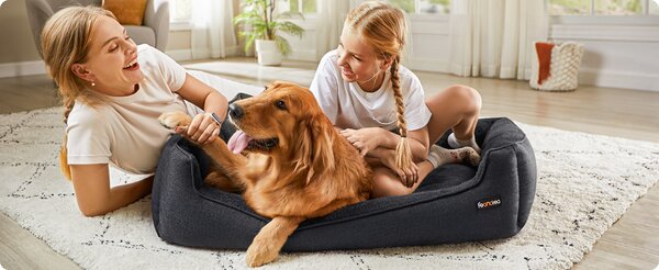 SONGMICS Peliešok pre psov Alexis 110 cm sivý