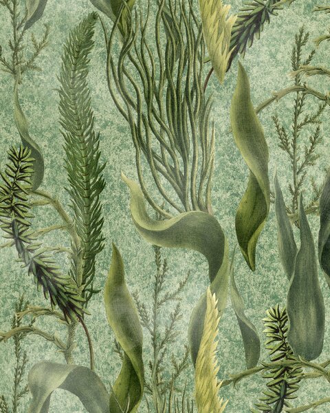 MINDTHEGAP Aquatic Plants