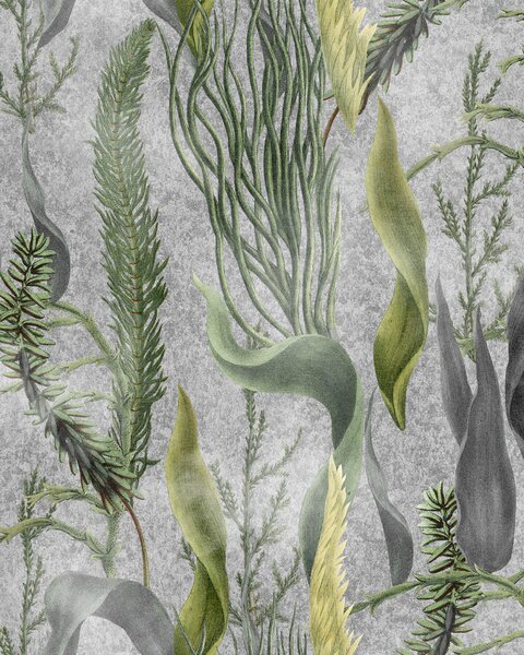 MINDTHEGAP Aquatic Plants Grey