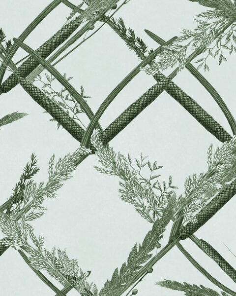 MINDTHEGAP Ornamental Reed Greenlake