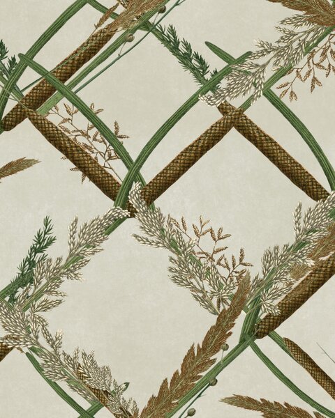 MINDTHEGAP Ornamental Reed