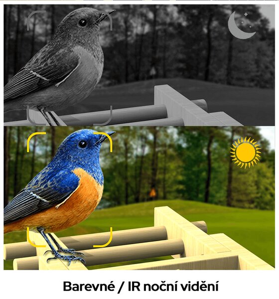 Bezdoteku Vtáčie oko múdre krmítko na okno s kamerou Sýkorka