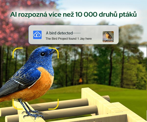 Bezdoteku Vtáčie oko múdre krmítko na okno s kamerou Sýkorka