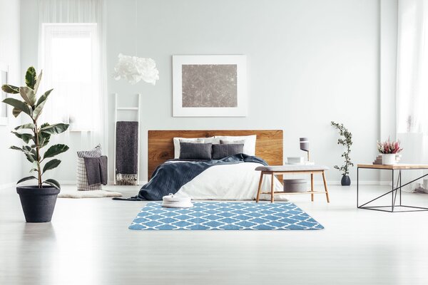 Tutumi Plyšový koberec Clover Baroc modrý, veľkosť 120x170