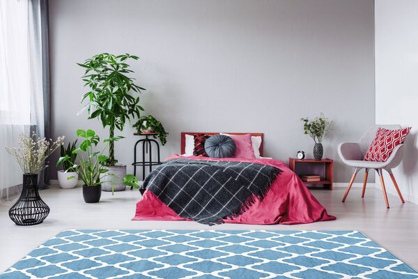 Tutumi Plyšový koberec Clover Baroc modrý, veľkosť 120x170