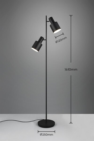 Trio T419400232 stojacia lampa AGUDO E27