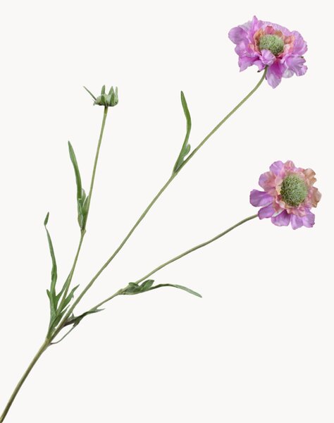 Rastlinné dekorácie Scabiosa, 2 ks