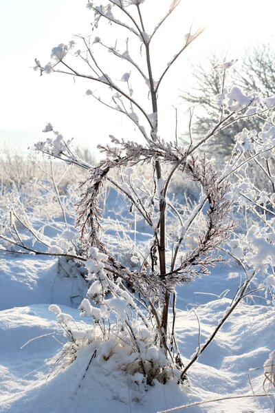 Veniec Nature Frost Ø 45 cm