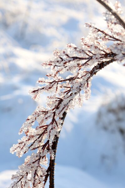 Veniec Nature Frost Ø 45 cm
