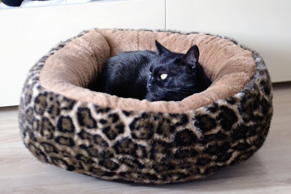 Luxusný plyšový pelech pre mačky LEO soft 50cm hnedá/leopard, Trixie, Výber Kupujem pre útulkáčov
