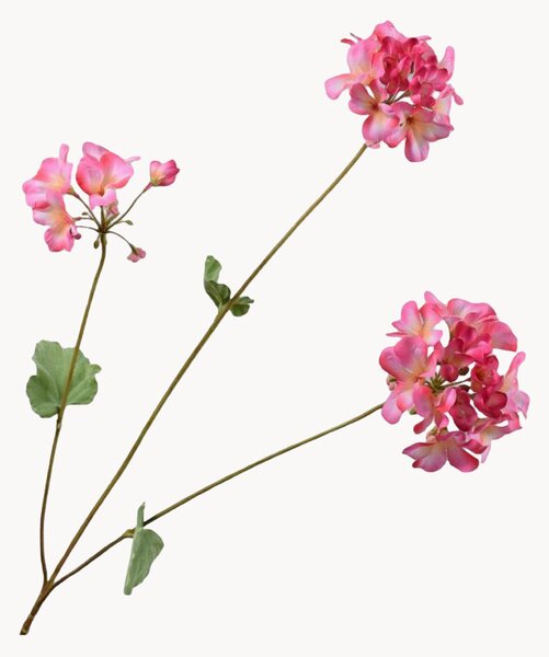 Rastlinné dekorácie Pelargonie, 2 ks