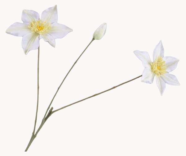 Rastlinné dekorácie Clematis, 2 ks