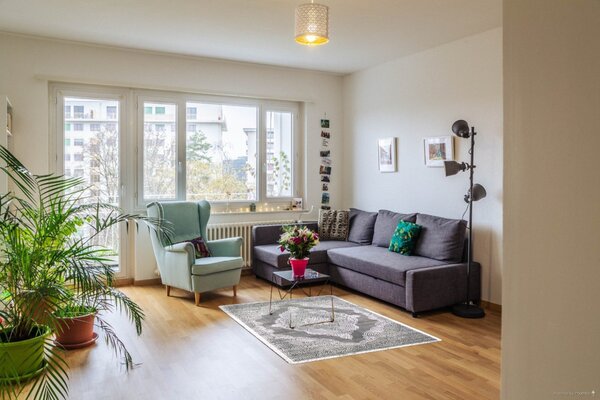 Berfin Dywany , Kusový koberec Elite 3935 Grey, 200x290, šedá, kancelária