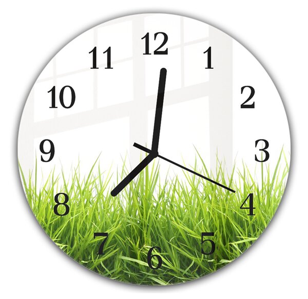 Nástenné hodiny okrúhle pr.30cm jarná zelená tráva na bielom podklade - plexi