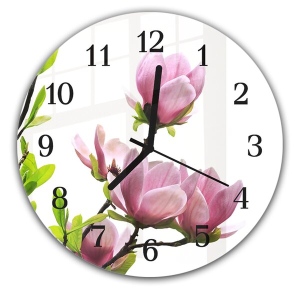 Nástenné hodiny pr.30cm vetva kvitnúce ružové magnólie - plexi