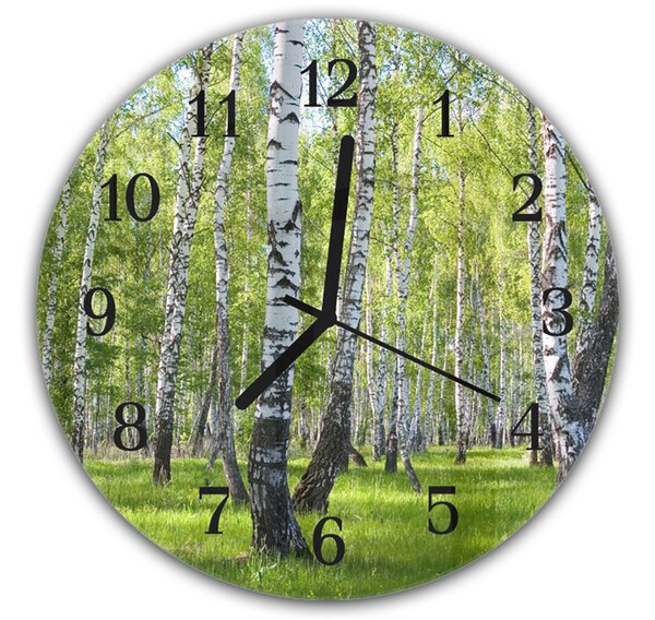 Nástenné hodiny okrúhle pr.30cm brezový les - plexi