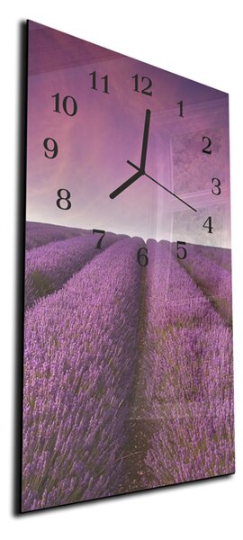 Nástenné hodiny levanduľové pole - plexi