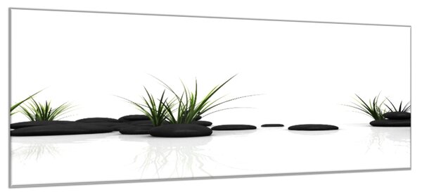 Obraz sklenený tráva a čierny kameň na bielom pozadí - 30 x 40 cm