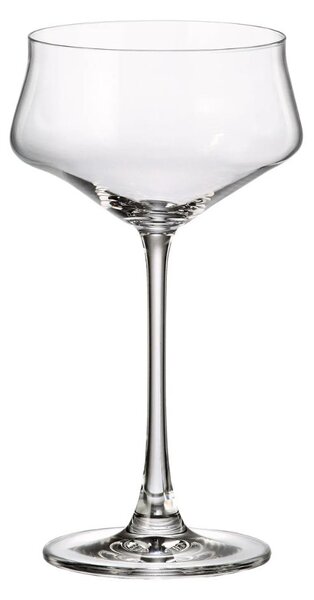 Bohemia Crystal Poháre na martini Cettia 300 ml (súprava 6 ks)