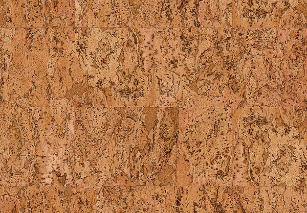 Nástenný obklad AMORIM Wise dekwall Fiord natural 81000058 - 1.98 m2