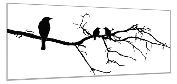 Obraz sklenený silueta vtákov na vetve - 50 x 100 cm