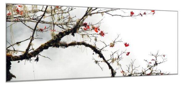 Obraz sklenený vetva s červenými lístkami - 50 x 100 cm