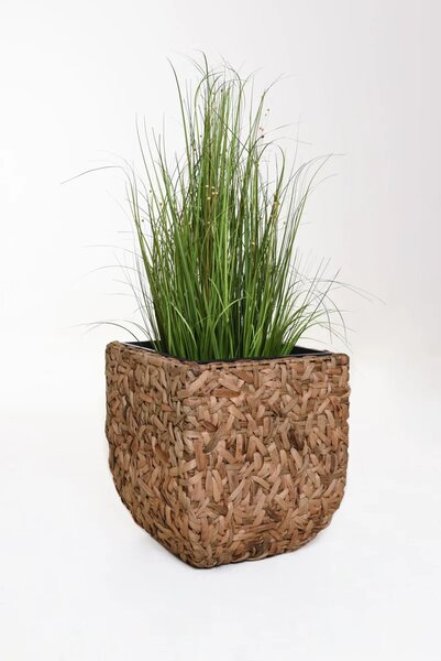 Kvetináč WILD, vodný hyacint, výška 50 cm, natur