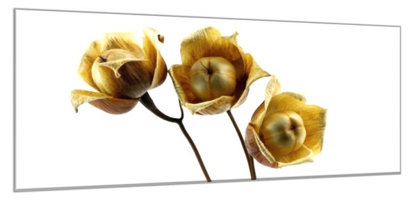 Obraz sklenený kvet drevené ruže - 30 x 60 cm