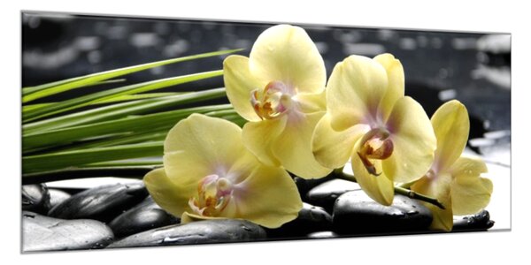 Obraz sklenený kvety žltá orchidea na čiernych kameňoch - 30 x 60 cm