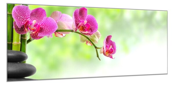 Obraz sklenený kvety ružové orchidey na stonke a bambus - 40 x 60 cm
