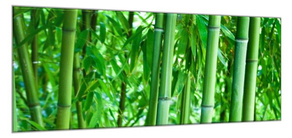 Obraz sklenený sýto zelený bambusový les - 30 x 60 cm