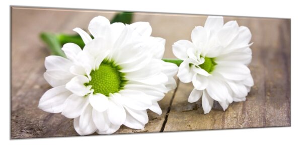 Obraz sklenený kvet bielej chryzantémy na dreve - 30 x 60 cm