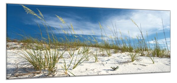 Obraz sklenený piesočná duna s trávou - 30 x 60 cm