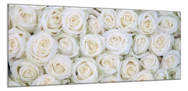 Obraz sklenený kvety bielych ruží - 50 x 100 cm