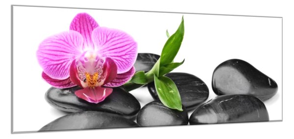 Obraz sklenený kvet ružová orchidea, bambus, čierny kameň - 34 x 72 cm