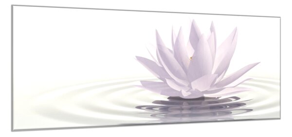 Obraz sklenený kvet biely lekno na hladine - 34 x 72 cm