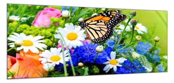 Obraz sklenený farebné kvety a motýľ - 50 x 100 cm