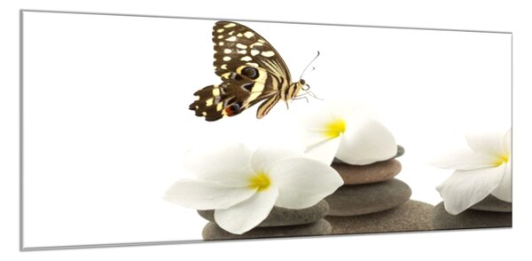Obraz sklenený biele kvety, motýľ, okruhliaky - 30 x 60 cm
