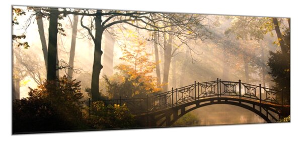 Obraz sklenený most v jesennom parku - 50 x 70 cm