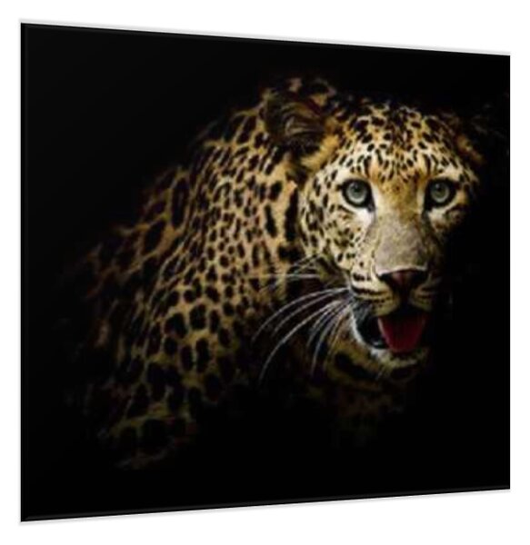 Obraz sklenený šelma portrét leoparda - 40 x 40 cm