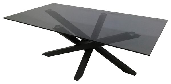 KONFERENČNÝ STOLÍK, sivá, čierna, kov, sklo, 120/60/45 cm Xora - Stolíky do obývačky