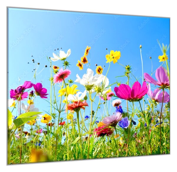 Obraz sklenený štvorcový kvety farebná rozkvitnutá lúka - 40 x 40 cm