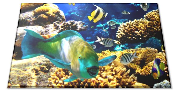 Sklenené lopárik ryba, koraly, morský svet - 30x20cm