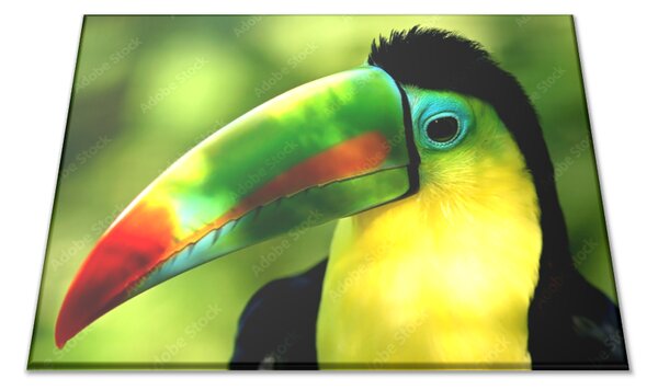 Sklenená doštička farebný papagáj tukan - 30x20cm
