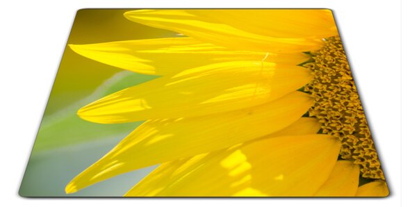 Sklenená doštička detail kvet slnečnice - 30x20cm