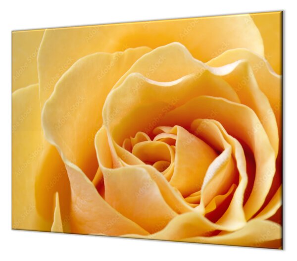 Ochranná doska kvet žltej ruže - 55x55cm / ANO