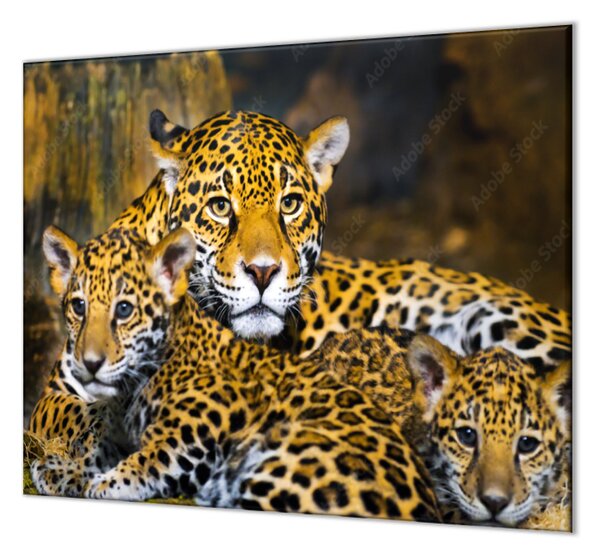 Ochranná doska šelma jaguár s mláďatami - 52x60cm / ANO